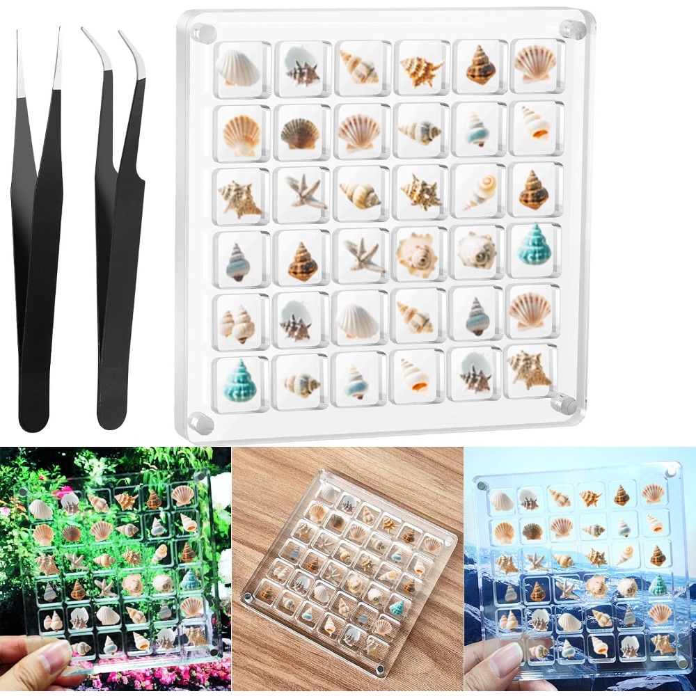 Clear Acrylic Magnetic Seashel - огляд і ціна Display Case Acrylic